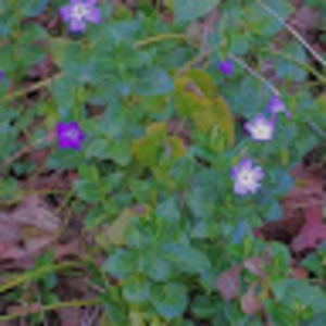 Meet your Posher, Xavier